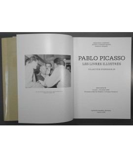 Pablo Picasso les livres illustrés collection Steinhauslin.